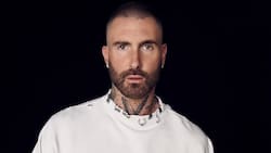 El motivo por el que Adam Lavine es tendencia nacional en medio del show de Pet Shop Boys en Viña