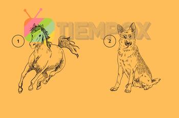 ¿Caballo o perro? Resuelve este Test de Personalidad y descubre si eres alguien íntegro