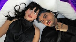 Premios Juventud: ¿Quiénes son los nominados y cómo votar por tu favorito?