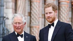 Aseguran que el príncipe Harry habría pedido dinero al rey Carlos III para asistir a la coronación