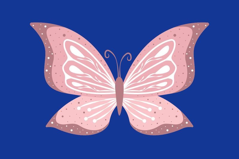 En este test visual tu intuición es puesta a prueba, pues aparece una mariposa gris, que realmente es de otro color.