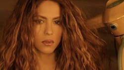 Shakira: recuento de uno de los años más difíciles y, a su vez, más exitosos para la colombiana