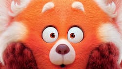 Siete razones por la que no te puedes perder la nueva película de Disney y Pixar “Red”