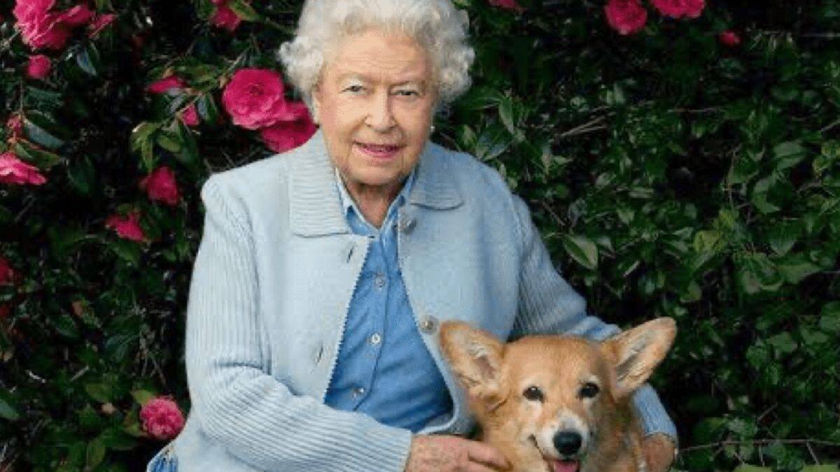 Reina Isabel II lanza su propio perfume para perros