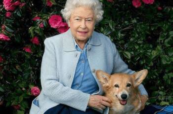 Reina Isabel II lanza su propio perfume para perros