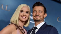 Daisy Dove, hija de Katy Perry y Orlando Bloom, hace su primera aparición pública en concierto de su madre