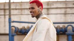 Chris Brown se queja de que la gente "aún lo odia" por golpear a Rihanna