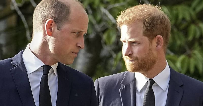 Los fans descubren el homenaje "secreto" del príncipe William a Harry en un nuevo vídeo - Créditos: Instagram