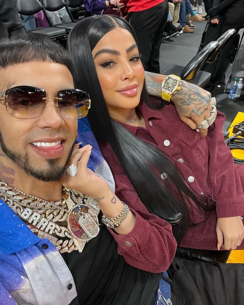 Yailin y Anuel AA sufrieron accidente cuando viajaban a México - Créditos: Instagram