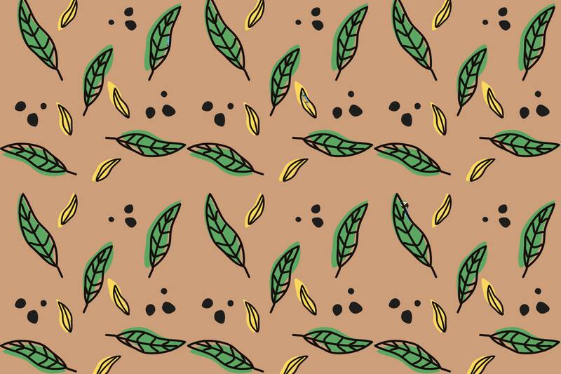 ¿Serás capaz de encontrar los loros en menos de cinco segundos?