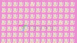 Test Visual: ¡Encuentra los tres gatos diferentes en el menor tiempo posible!