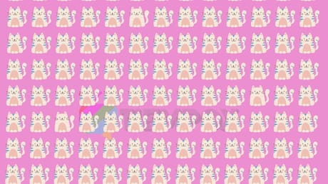 Test Visual: ¡Encuentra los tres gatos diferentes en el menor tiempo posible!