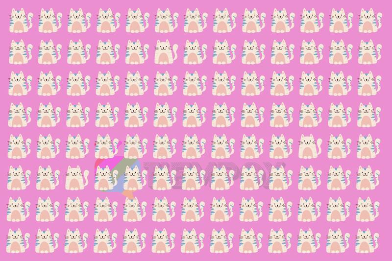 Test Visual Encuentra a los gatos diferentes. - Créditos: Tiempox.com