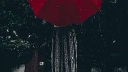 ¡Llueve! ¿Cómo reacciona cada signo al ser sorprendido por el agua?