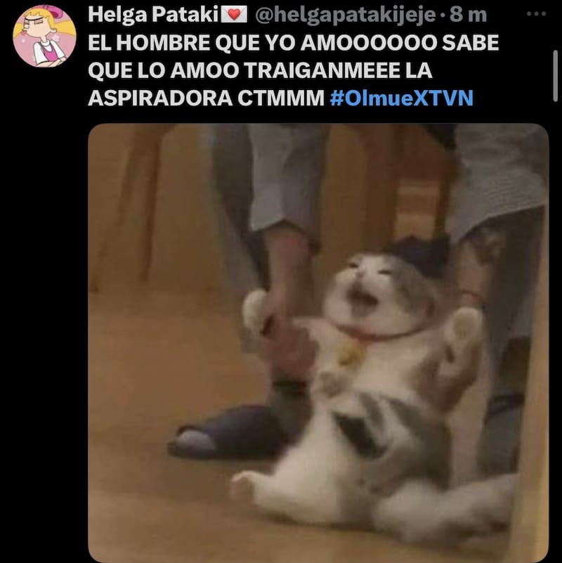 La cantante encantó en el Patagual.