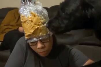 VIDEO: A perro le cortan las uñas distrayéndolo con un gorro de crema de maní