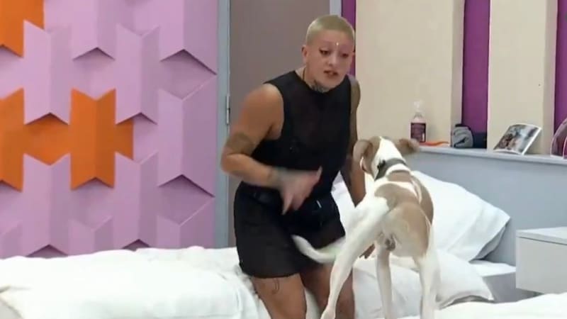 La chica reality se enfrento a Arturo, perro de la casa de Gran Hermano.