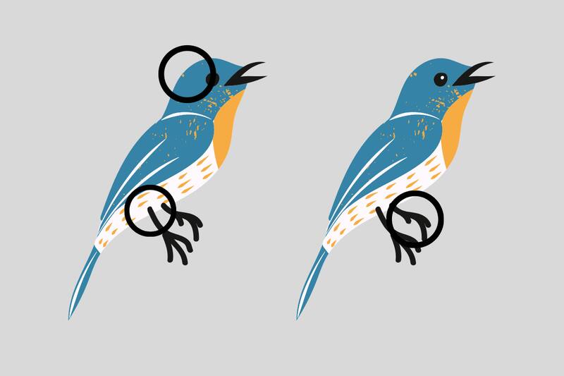 ¡Aquí estaban las tres diferencias!