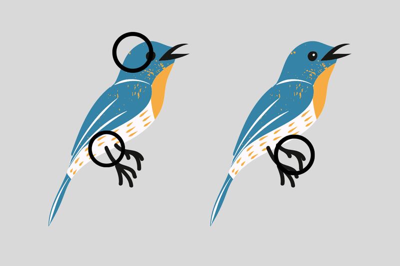 dos pájaros azules que parecen iguales pero tienen tres diferencias: en una de sus piernas, en su cabeza y en su cuerpo.