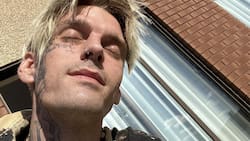 Fans de Aaron Carter "indignados" de que no fue incluido en el "in memoriam" de los Grammy 2023