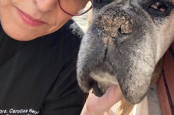 “Ha sido mi sostén emocional”: Doctora Carolina Herrera se despide de importante miembro de su familia