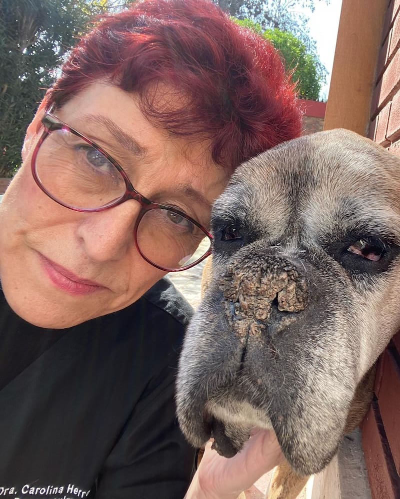 Carolina Herrera en Instagram.