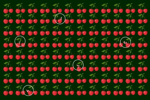 Aquí están los cinco gusanos invasores.