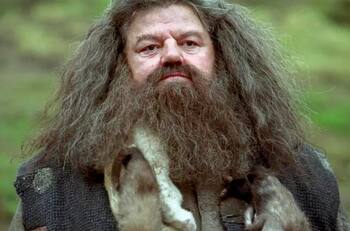 Muere Robbie Coltrane, actor que dio vida a "Hagrid" a los 72 años