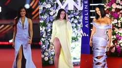 FOTOS | ¿Te perdiste la Gala de Viña 2026? Los mejores vestidos y todos los que pasaron por la alfombra roja
