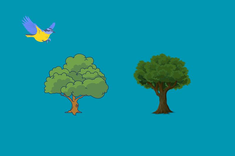 ¿En qué árbol están los hijos del pájaro?
