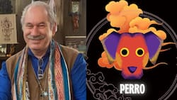 Horóscopo Chino de Pedro Engel: Predicciones para el Perro en 2024