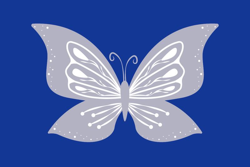 En este test visual tu intuición es puesta a prueba, pues aparece una mariposa gris, que realmente es de otro color.