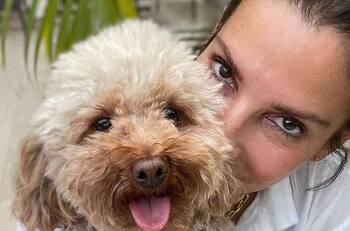 "Estoy exhausta": Sandra Bullock confirma su retiro de Hollywood