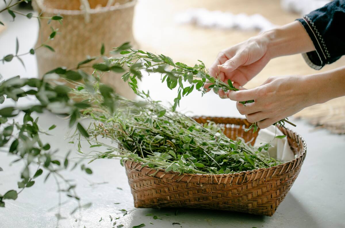 Amuletos de hierbas: ¿Cómo y de qué hacerlos dependiendo de mi objetivo?