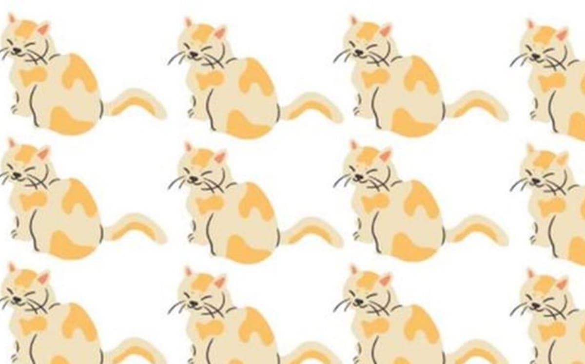 Acertijo Visual Encuentra al gato diferente en la imagen - Créditos: Facebook