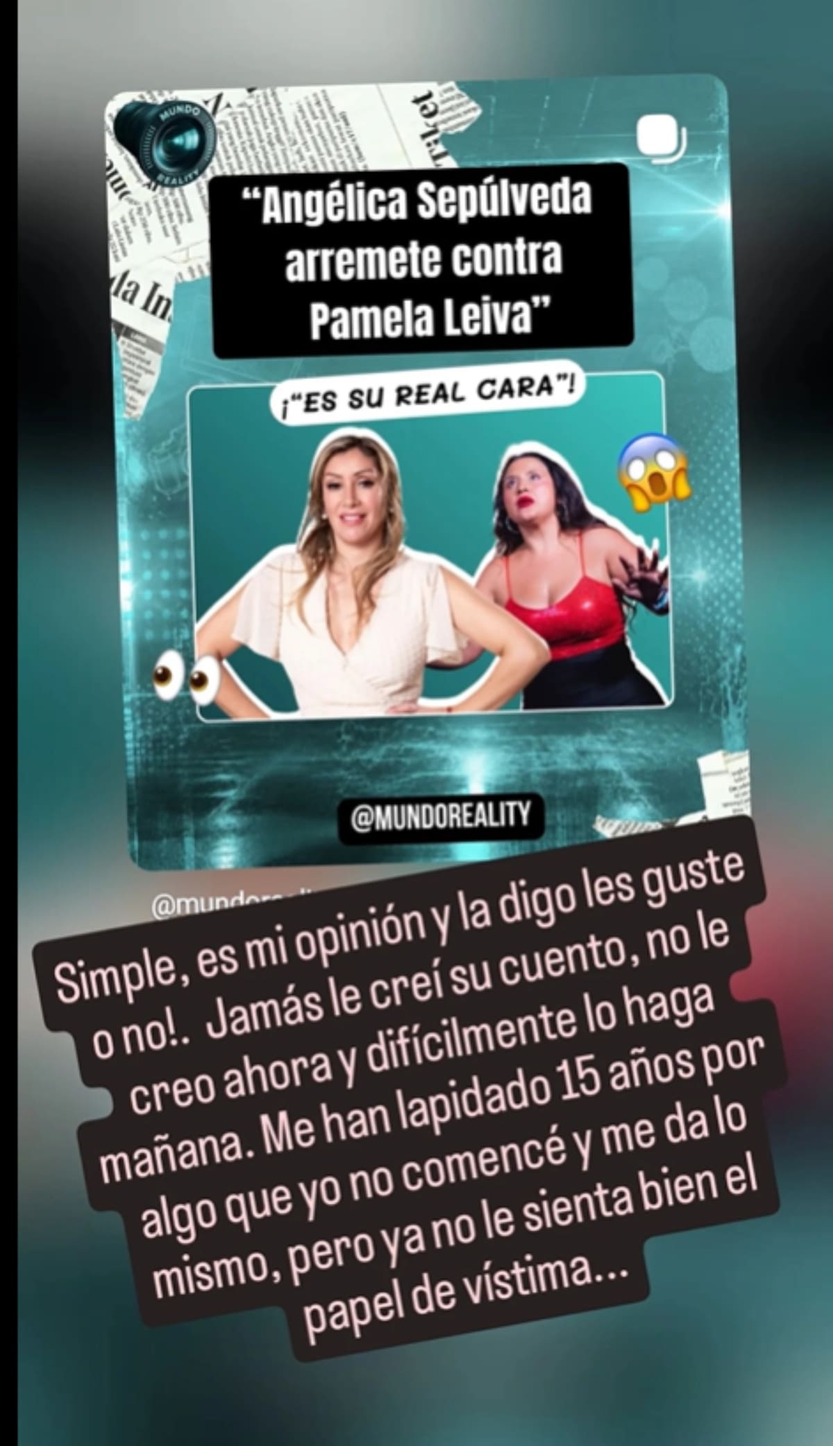 Contra Pamela Leiva en IG. Foto: Instagram.