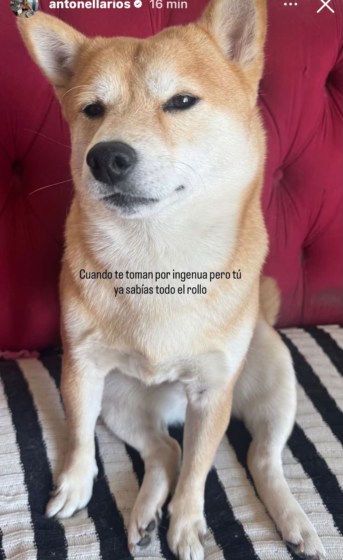 La actriz lanzó mensaje sin filtro tras su supuesto reemplazo en Que Te Lo Digo.