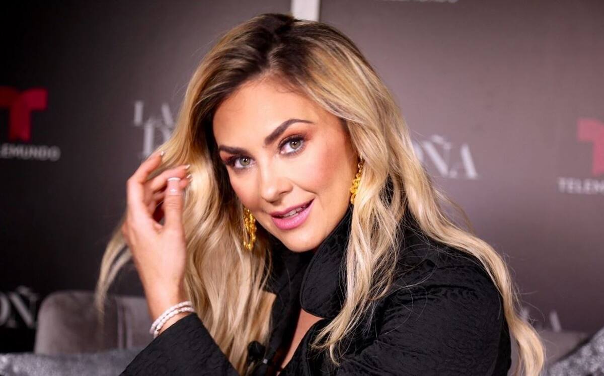 Aracely Arámbula La actriz reaccionó a lo expuesto en la tercera temporada de Luis Miguel, la serie - Créditos: Instagram