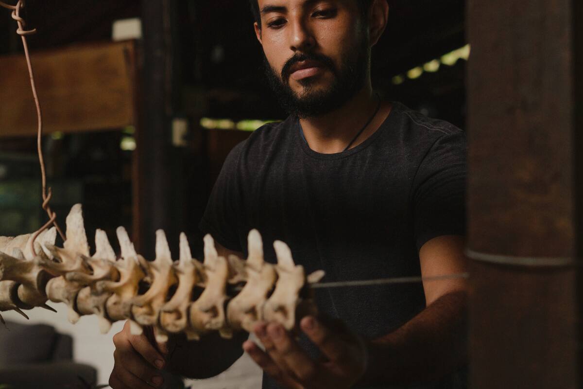 Astrología Descubre qué signos del Zodiaco tienen habilidades para la paleontología. - Créditos: pexels.com