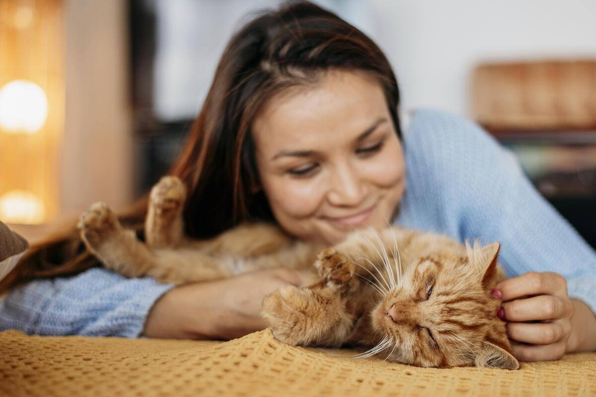 Astrología ¿Eres parte de los signos que más aman a los gatos? - Créditos: Freepik