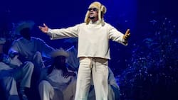 El esperado momento del concierto Bad Bunny donde podrás subir al escenario: ¿Cómo ser elegido y qué tendrás que hacer?