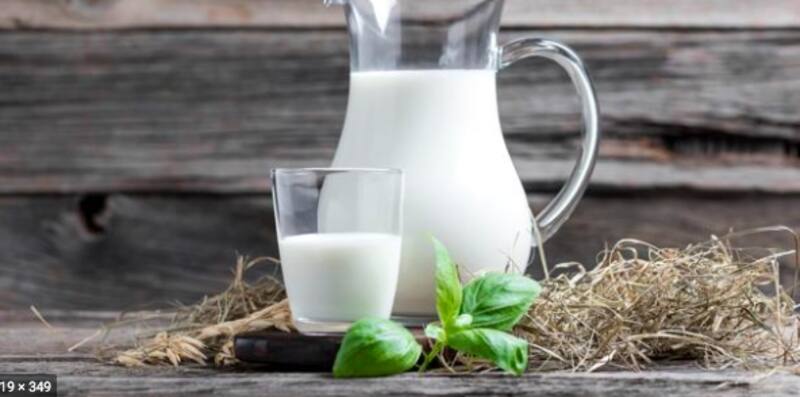 Leche y otros productos lácteos podrían causar mal olor en tu boca (Foto: Freepik)