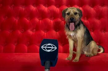 ¿Dónde está Tuti?: Las razones por las que Bigote no estuvo en la casa de “Gran Hermano” Chile