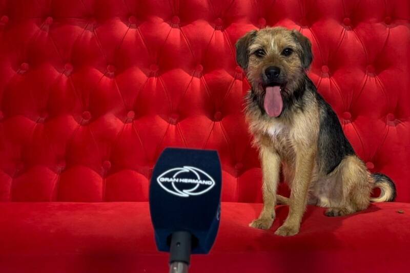 El "Tuti" se ha vuelto uno de los participantes más queridos tanto dentro como fuera de la casa de "Gran Hermano" Chile.