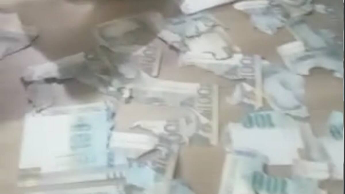 VIDEO: Mujer guarda sus ahorros en bolsa de plástico y una rata se los come