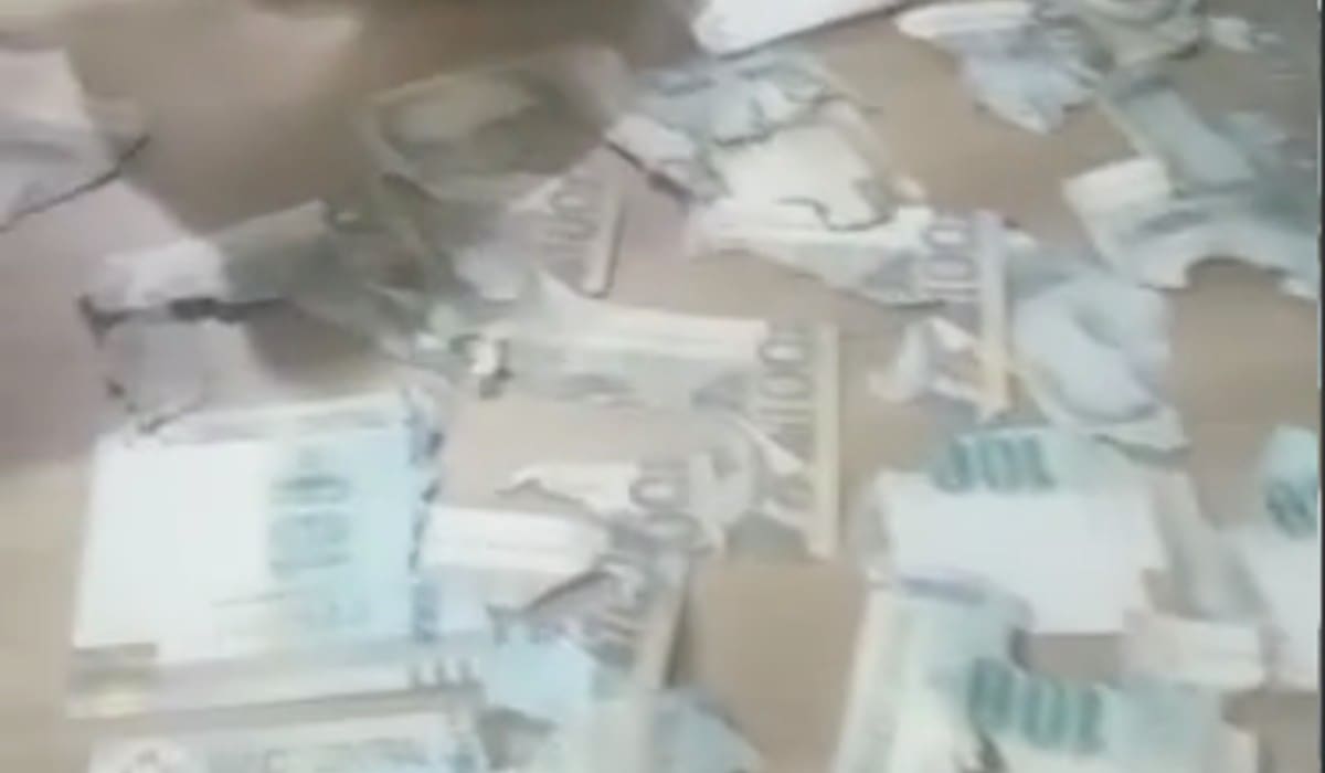Billetes destrozados Mira aquí el video viral de los billetes destrozados - Créditos: Captura de pantalla