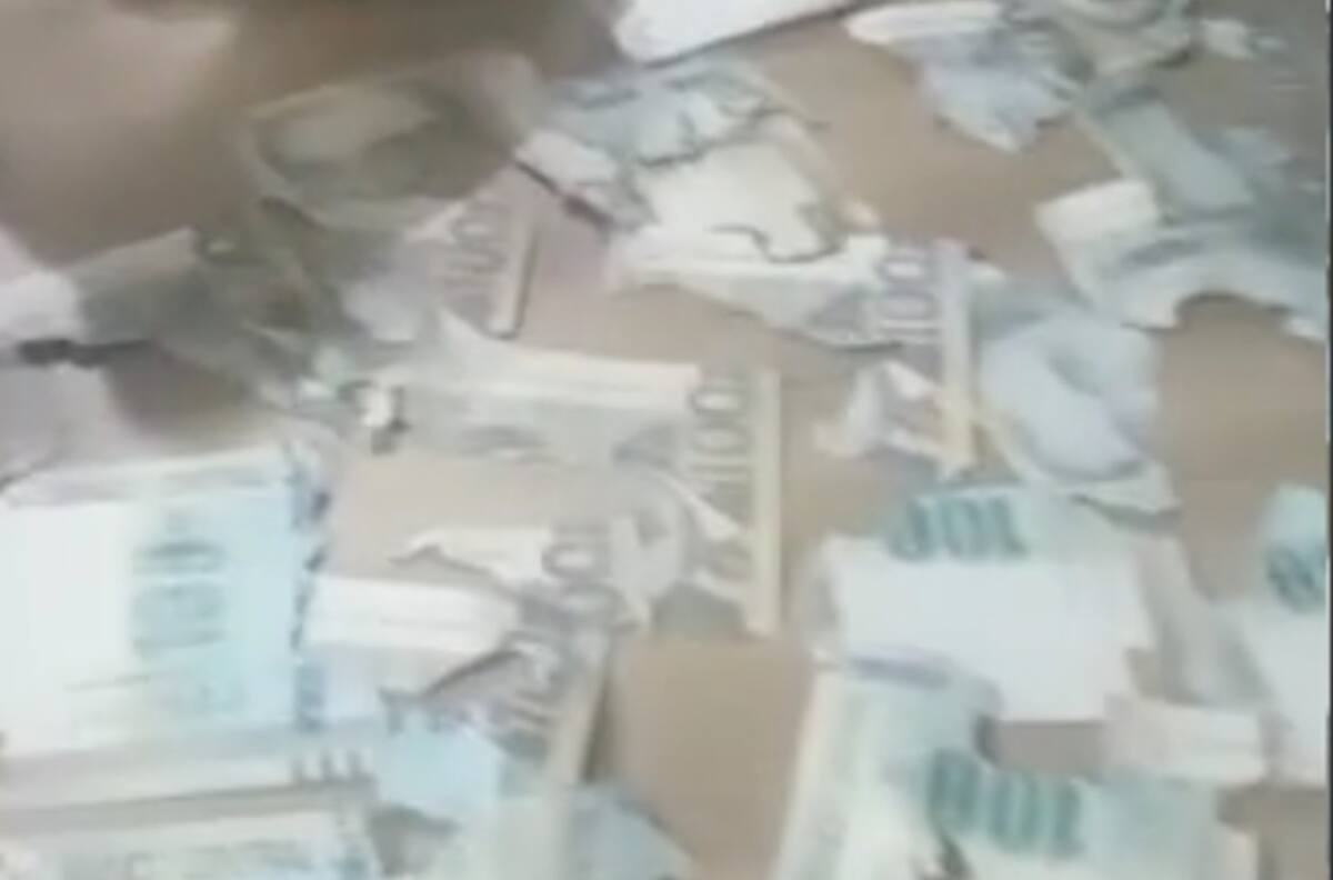 VIDEO: Mujer guarda sus ahorros en bolsa de plástico y una rata se los come