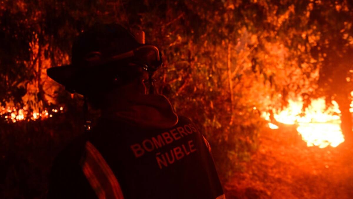 Transmisión solidaria de la TV chilena por incendios: ¿Cuándo será, en qué consiste y cómo poder ayudar?
