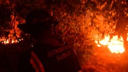 Transmisión solidaria de la TV chilena por incendios: ¿Cuándo será, en qué consiste y cómo poder ayudar?