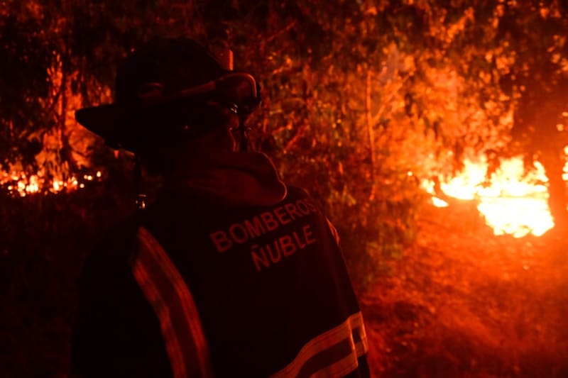 combatiendo la catástrofe forestal en el sur.
Foto: Aton